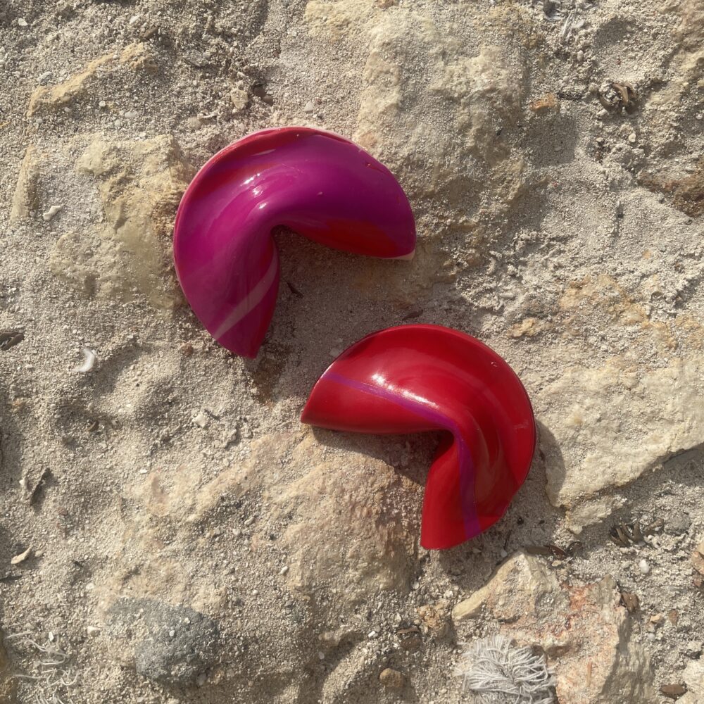 Fortune Cookie - Image 21