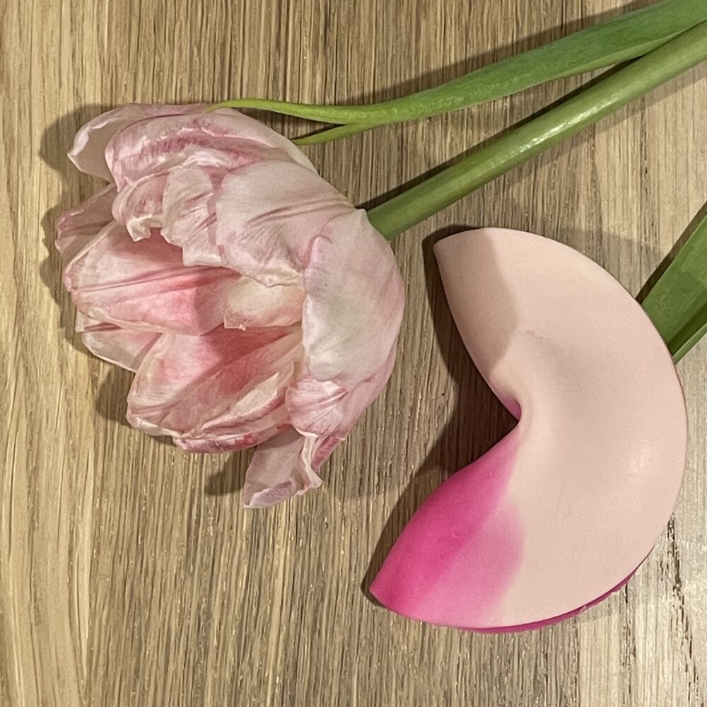 Fortune Cookie - Image 5